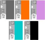 PAPERLAND Caiet A4 cu spira Paperland, 80 file, 70g/mp, matematica, coperta plastic, Diverse culori (PP-24000389)