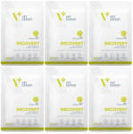 VetExpert VETEXPERT Recovery Cat - nedves állatorvosi táplálék macskáknak, 6x100 g