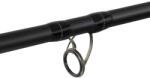 Delphin DUNAY Carp 2, 4m/200g