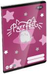 LIZZY Füzet kockás LIZZYSULI A/5 32 lapos 27-32 Kittok Stars Purrfect (7500171002) - vectraline