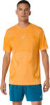 ASICS Road Seamless Ss Top (2011d355_800)