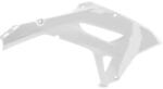 RTECH Radiator Scoops - R-cvcrfbn0091 (r-cvcrfbn0091)