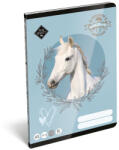 LIZZY Füzet vonalas LIZZYSULI A/5 32 lapos 12-32 3. osztályos Wild Beauty Sport Club (7500169004) - robbitairodaszer