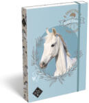 LIZZY Füzetbox LIZZYSULI A/4 Wild Beauty Sport Club (7470216004)