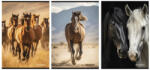 STREET Füzet sima STREET A/4 54 lapos Horses (67583) - robbitairodaszer
