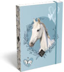 LIZZY Füzetbox LIZZYSULI A/5 Wild Beauty Sport Club (7470217004) - robbitairodaszer