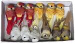  Pasari pene color pentru aranjamente florale set 12 buc (7860)