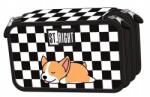 St. Majewski Penar echipat 3 fermoare, Majewski, Gama St. Right, Colectia Sleepy Corgi 2025, PC-05, 20x13x6 cm (5903235691300) Penar