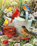 Figured Art Set goblen cu diamante, cu sasiu, Pasari in gradina, 40x50 cm (DP-697-Y)