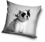  Kutyás French Bulldog párnahuzat 40x40 cm (CBX181004PD)