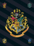  Harry Potter Black polár takaró 100x140cm (BRM007024) - eking