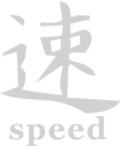  Abtibild auto Speed alb reflectorizant, pentru exterior si interior, DZ-24 (241125-4)
