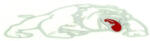 Abtibild auto Bulldog alb reflectorizant, 20 x 5, 5 cm, autoadeziv (AN12) (080916-13)