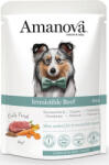  AmaNova Dog GF Pouch Adult Irresistible Beef P02 100 g - webshop
