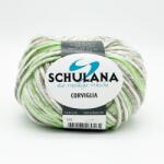 SCHULANA Corviglia fonal merinó gyapjú poliakril szín 102 zöld 50g (102)