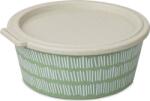 Koziol Recipient pentru prânz Blomster Box Line 1, 3 l, verde (8174703)