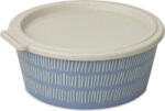 Koziol Recipient pentru prânz Blomster Box Line 1, 3 l, albastru (8174716)