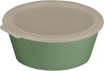 Koziol Recipient pentru prânz Move Box 1, 3 l verde (100050703)