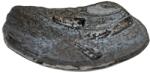 Made in Japan Farfurie pentru cină SHIRANAMI 22 x 18 cm, negru, ceramică, MIJ (MIJC1129)