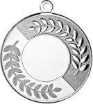  MDX102-S-szett 10db-os Acél medál Általános betét 25mm, ezüst színű, átm