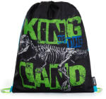 KARTON P+P BAG Tornazsák Premium Dinosaurus (AAE779)
