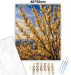  Alkonyi aranyvesszők - számfestő készlet