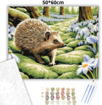  Mohás ösvény csendje - számfestő készlet - 50×60 cm (Keretre feszítve)