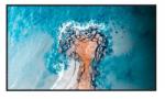 Hisense 55DM66D
