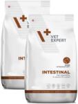 VetExpert Veterinary Diet Intestinal 2x12 kg