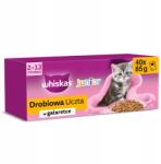 Whiskas Junior 40x85g Baromfi lakoma Nedves Macskaeledel Zselében