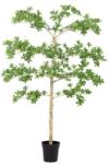 Bizzotto PITTOSPORUM zöld fém művirág - dodo - 88 190 Ft