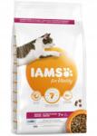 Iams macskaeledel időseknek, óceáni halakkal 3 kg