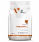 VetExpert Intestinal 2kg Száraz macskaeledel Emésztési zavarokkal küzdő macskák számára