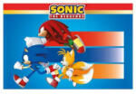  Sonic a sündisznó Sega műanyag asztalterítő 120x180 cm (PNN95652) - eking