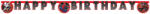  Pókember World of Webs Happy Birthday felirat FSC 2 m (PNN97319) - eking