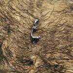  Rozsdamentes acél medál őz, őzike: Ezüst