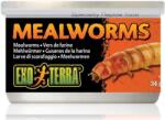 Hagen Mealworms - Puhára főzött lisztkukacok hüllőknek - 34gr