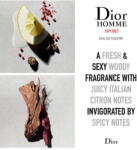 Dior Dior Homme ASW M 100 ml