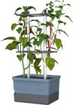 Gusta Garden CHARLY CHILI Standard, kék (GG-104710)