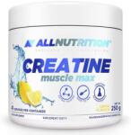 ALLNUTRITION Creatine Muscle Max, lămâie, 250 g, AllNutrition (7500)