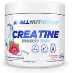 ALLNUTRITION Creatine Muscle Max, zmeură, 250 g, AllNutrition (7500)