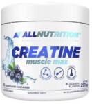 ALLNUTRITION Creatine Muscle Max, afine, 250 g, AllNutrition (7500)