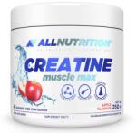 ALLNUTRITION Creatine Muscle Max, măr, 250 g, AllNutrition (7500)