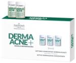 Farmona Natural Cosmetics Laboratory Koncentrátum Normalizáló DERMAACNE +, Farmona, 5 x 5 ml