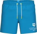 arena Graphic beach short m