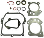  Tömítéskészlet Komplett Briggs&stratton 450 500 550 Ohv (590590, 592640, 595350)