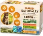 Iams Macskaeledel Felnőtt Lazac Tonhal Bőr Szőr Tasak 1020g (8710255161792)
