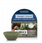 Yankee Candle Silver Sage & Pine illatviasz 22 g (1633253E)