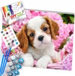 GALAXIA Festés Számok Alapján Kerettel Festmények Számok szerint Vászonkép 40x50 (Malowanie po numerach Piesek w Koszyku)