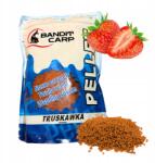 Bandit Carp 2mm-es Method Feeder Pellet Eper Ízű 1KG Etetőanyag Kosarakhoz Pontyhorgászathoz (19440)